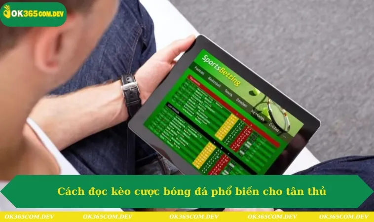 Cách đọc kèo cược bóng đá phổ biến cho tân thủ