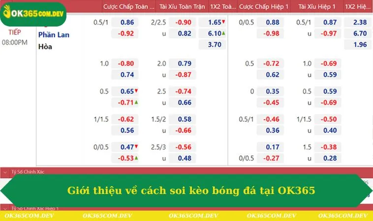 Giới thiệu về cách soi kèo bóng đá tại OK365