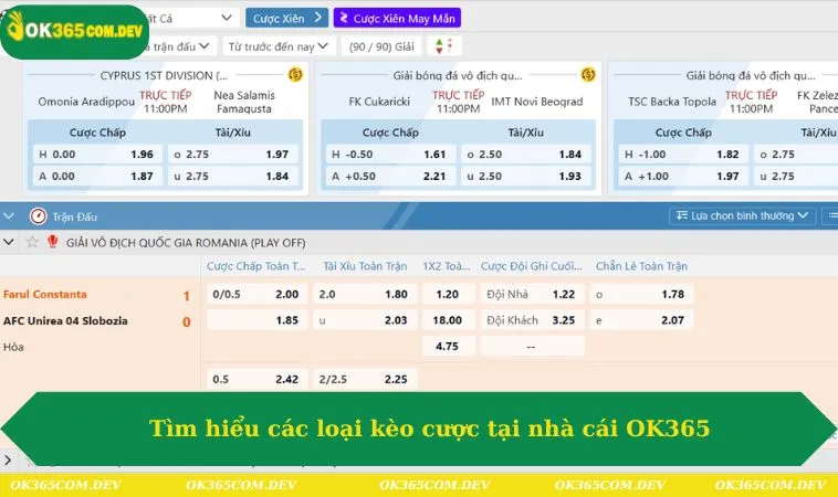 Tìm hiểu các loại kèo cược tại nhà cái OK365